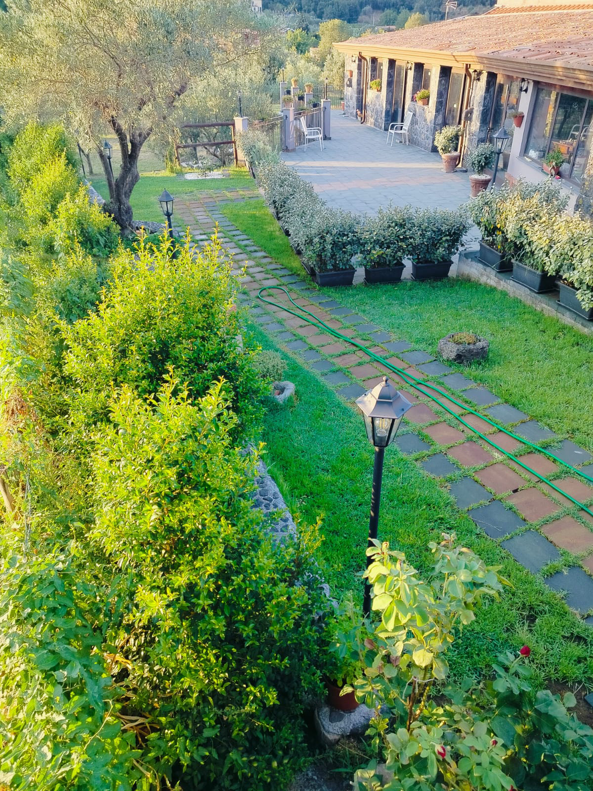 Ambiente ristorante